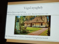 Kép szöveg