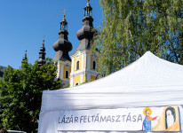 Kép szöveg