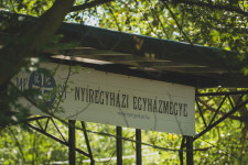 Kép szöveg