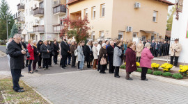 Kép szöveg