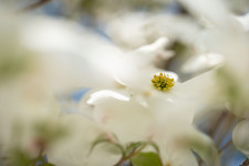 Kép szöveg