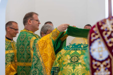 Kép szöveg
