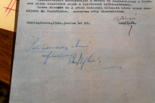 Kép szöveg