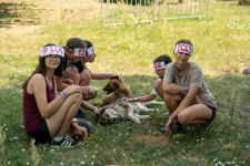 Kép szöveg