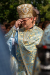 Kép szöveg