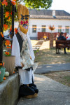 Kép szöveg
